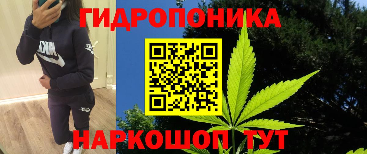 Бошки Шишки THC 21% Рузаевка